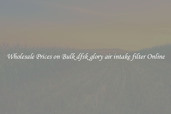 Wholesale Prices on Bulk dfsk glory air intake filter Online