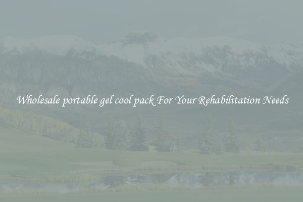 Wholesale portable gel cool pack For Your Rehabilitation Needs