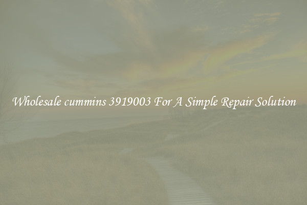 Wholesale cummins 3919003 For A Simple Repair Solution