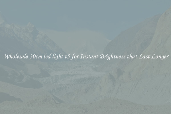 Wholesale 30cm led light t5 for Instant Brightness that Last Longer