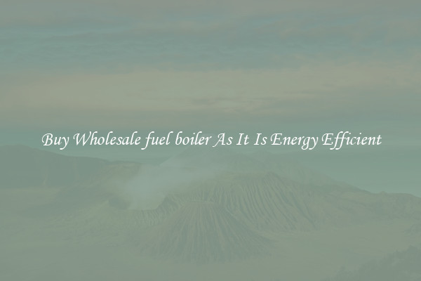 Buy Wholesale fuel boiler As It Is Energy Efficient