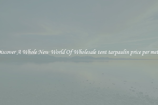 Discover A Whole New World Of Wholesale tent tarpaulin price per meter