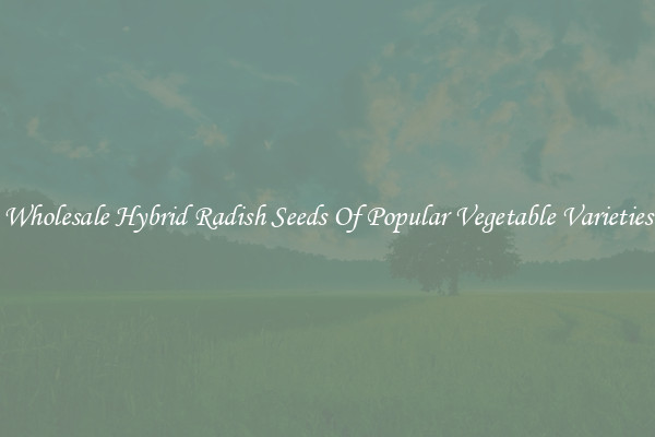 Wholesale Hybrid Radish Seeds Of Popular Vegetable Varieties