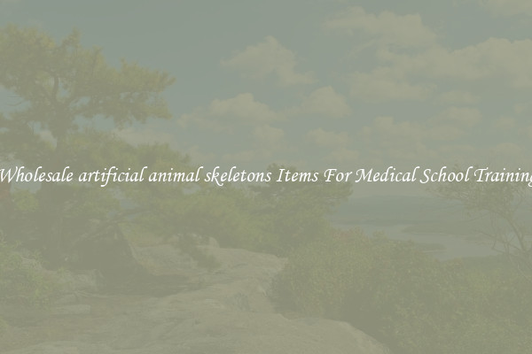 Wholesale artificial animal skeletons Items For Medical School Training
