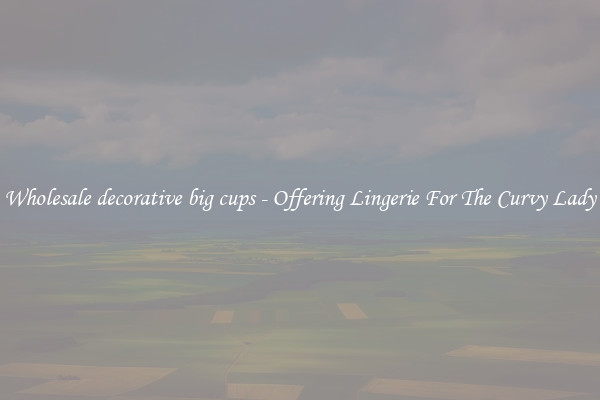 Wholesale decorative big cups - Offering Lingerie For The Curvy Lady