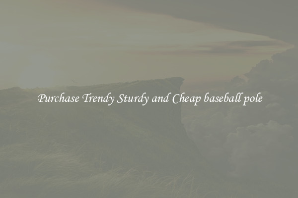 Purchase Trendy Sturdy and Cheap baseball pole