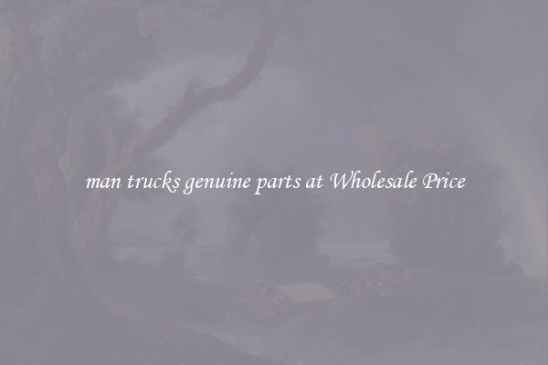 man trucks genuine parts at Wholesale Price