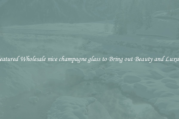Featured Wholesale nice champagne glass to Bring out Beauty and Luxury