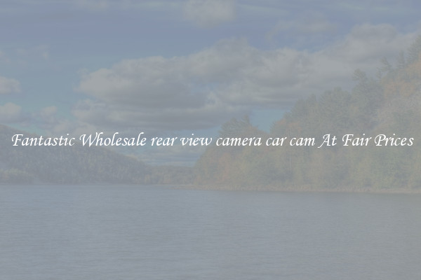 Fantastic Wholesale rear view camera car cam At Fair Prices