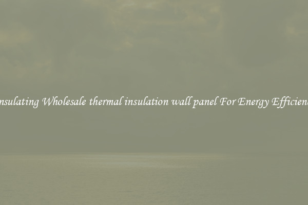 Insulating Wholesale thermal insulation wall panel For Energy Efficiency