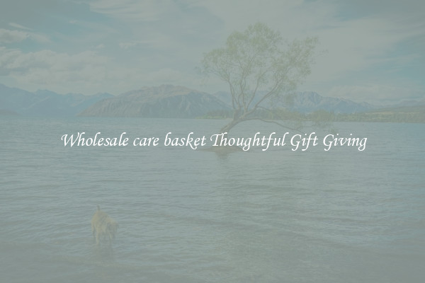 Wholesale care basket Thoughtful Gift Giving