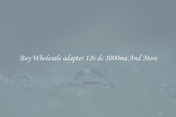 Buy Wholesale adapter 12v dc 1000ma And More