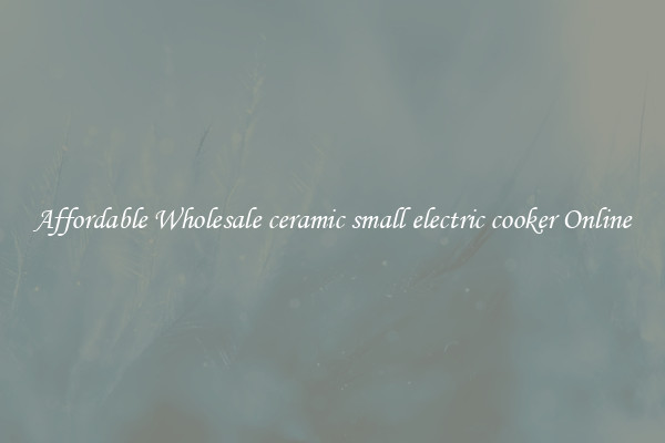 Affordable Wholesale ceramic small electric cooker Online