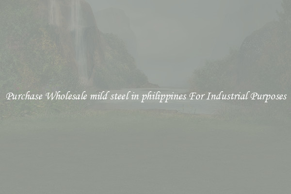 Purchase Wholesale mild steel in philippines For Industrial Purposes